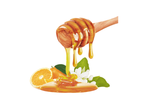 HADDAR 1 LB HONEY