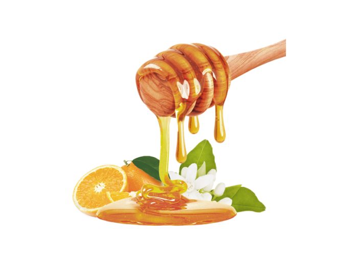 HADDAR 1 LB HONEY